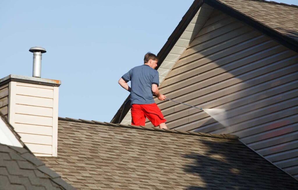 Roof-cleaning