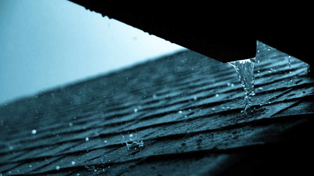 Roof in the Rain