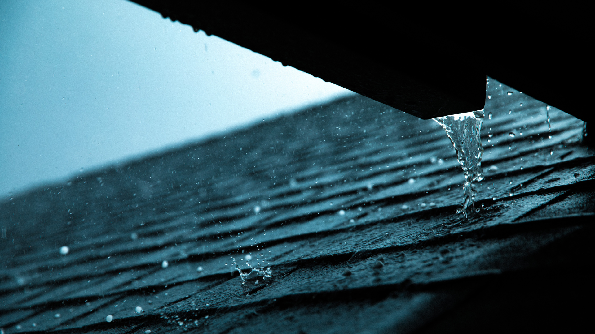 Roof in the Rain