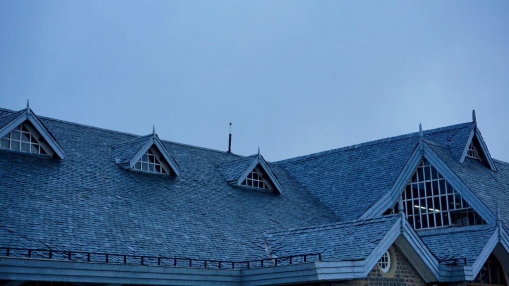 House with Dark Roof