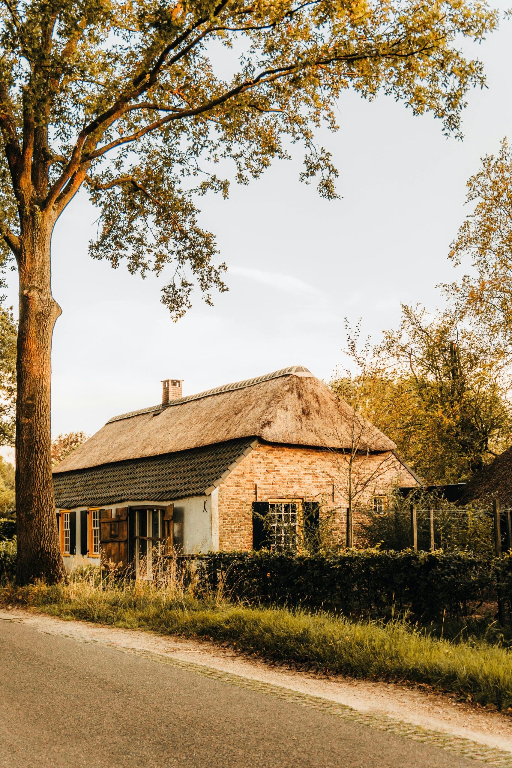 Fall Foliage Roof Maintenance Tips