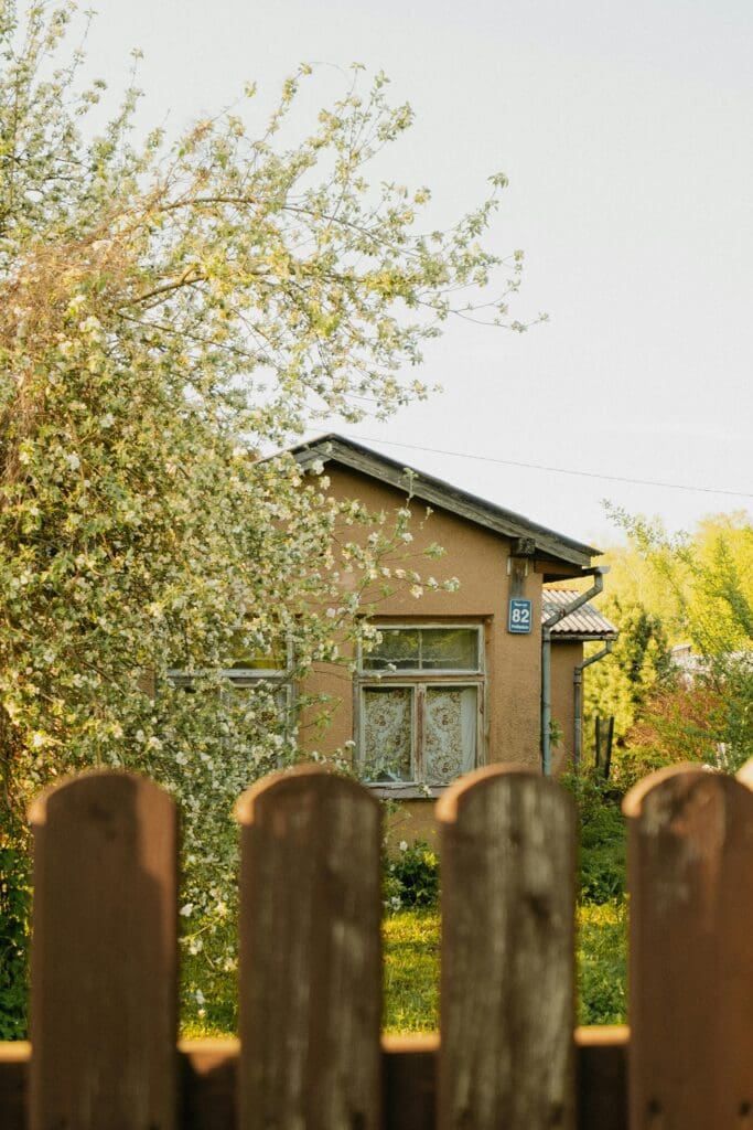 Roof behind fence and tree