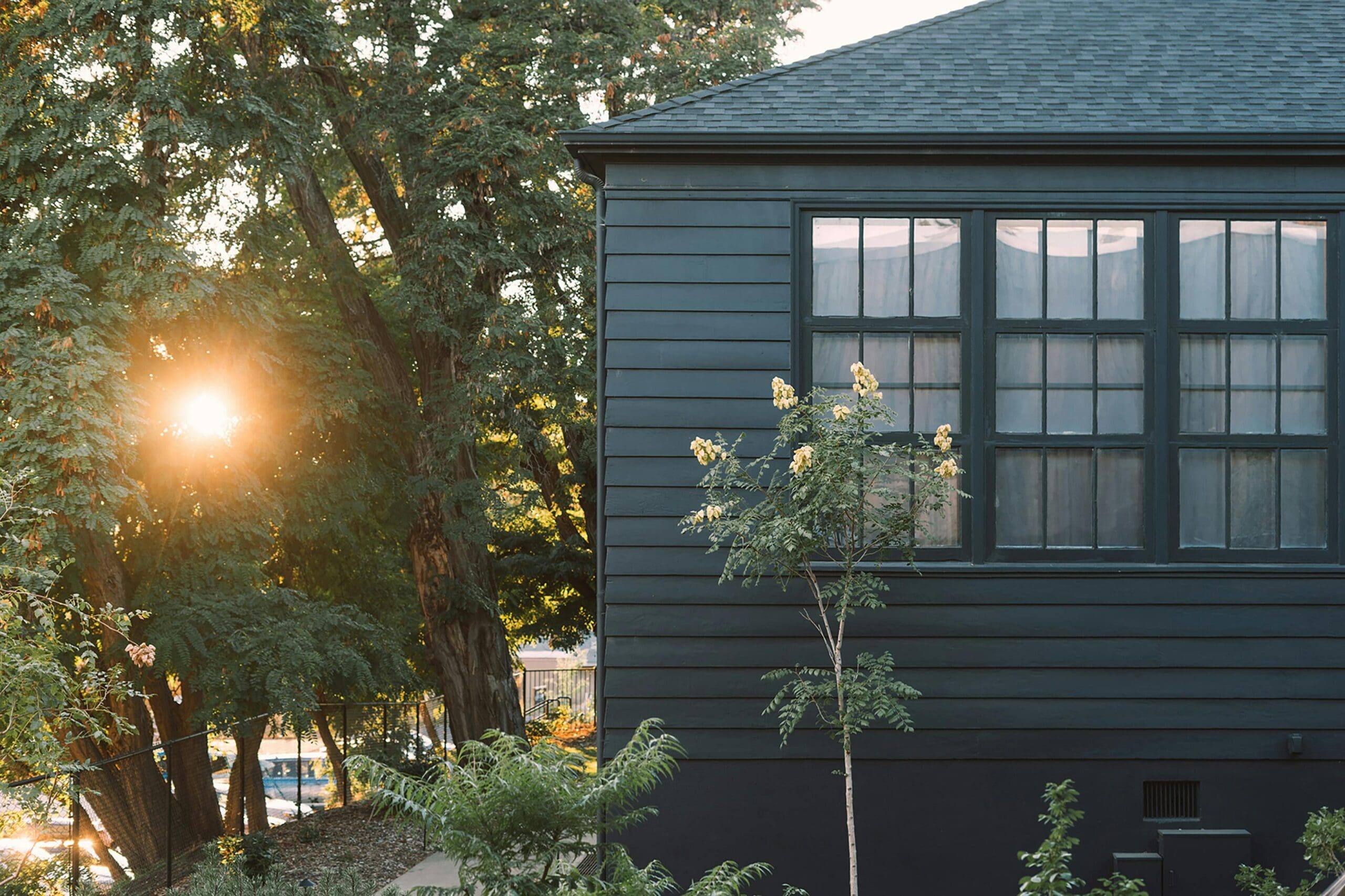 sunlight through leaves dark house with dark roof
